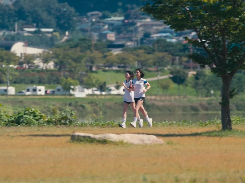 50cm 이미지 2